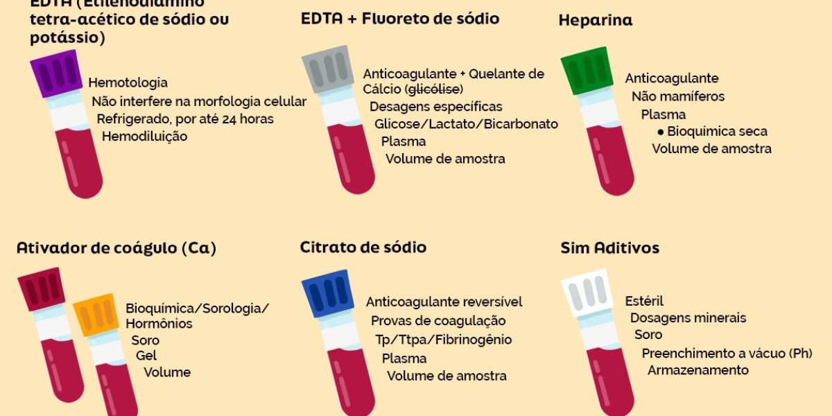 La mejor alimentación para gatos adultos